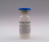 Dosage sec de Sulbactam d'ampicilline d'injection de poudre de structure de peau pour l'injection